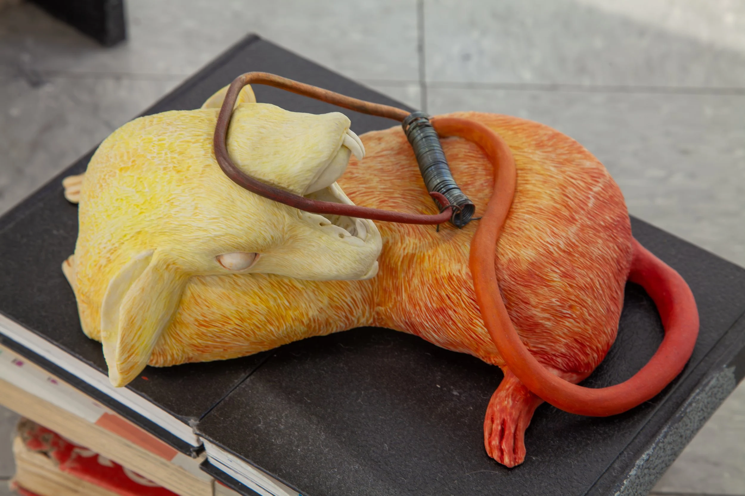 Kane_a trap you set yourself_installation.jpg