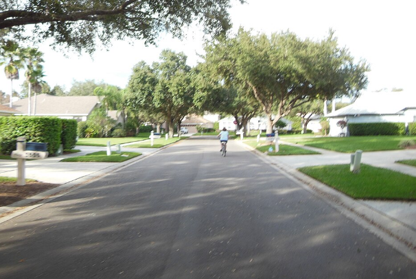 Valrico Neighborhood