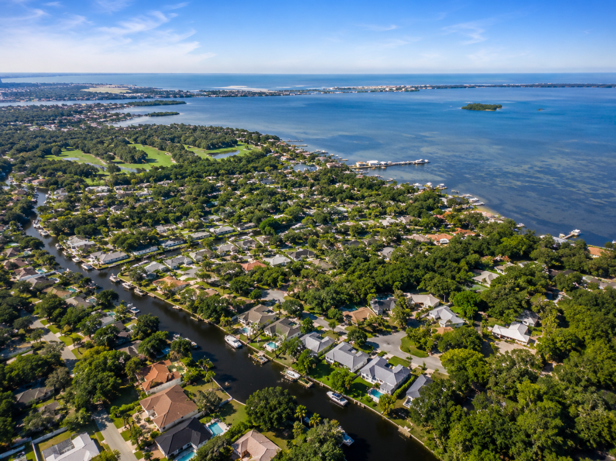 Palm Harbor Sky