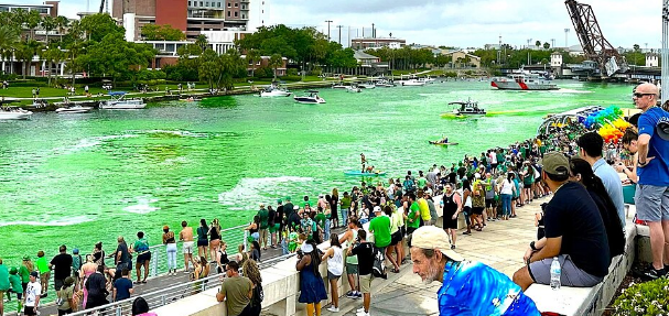 Tampa Green River