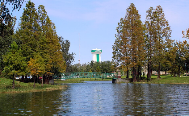 University Lake