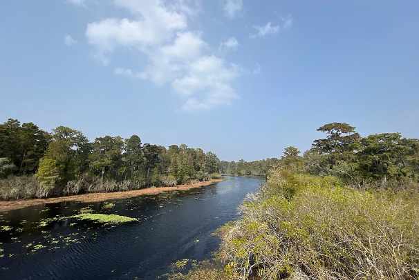 Hillsborough River