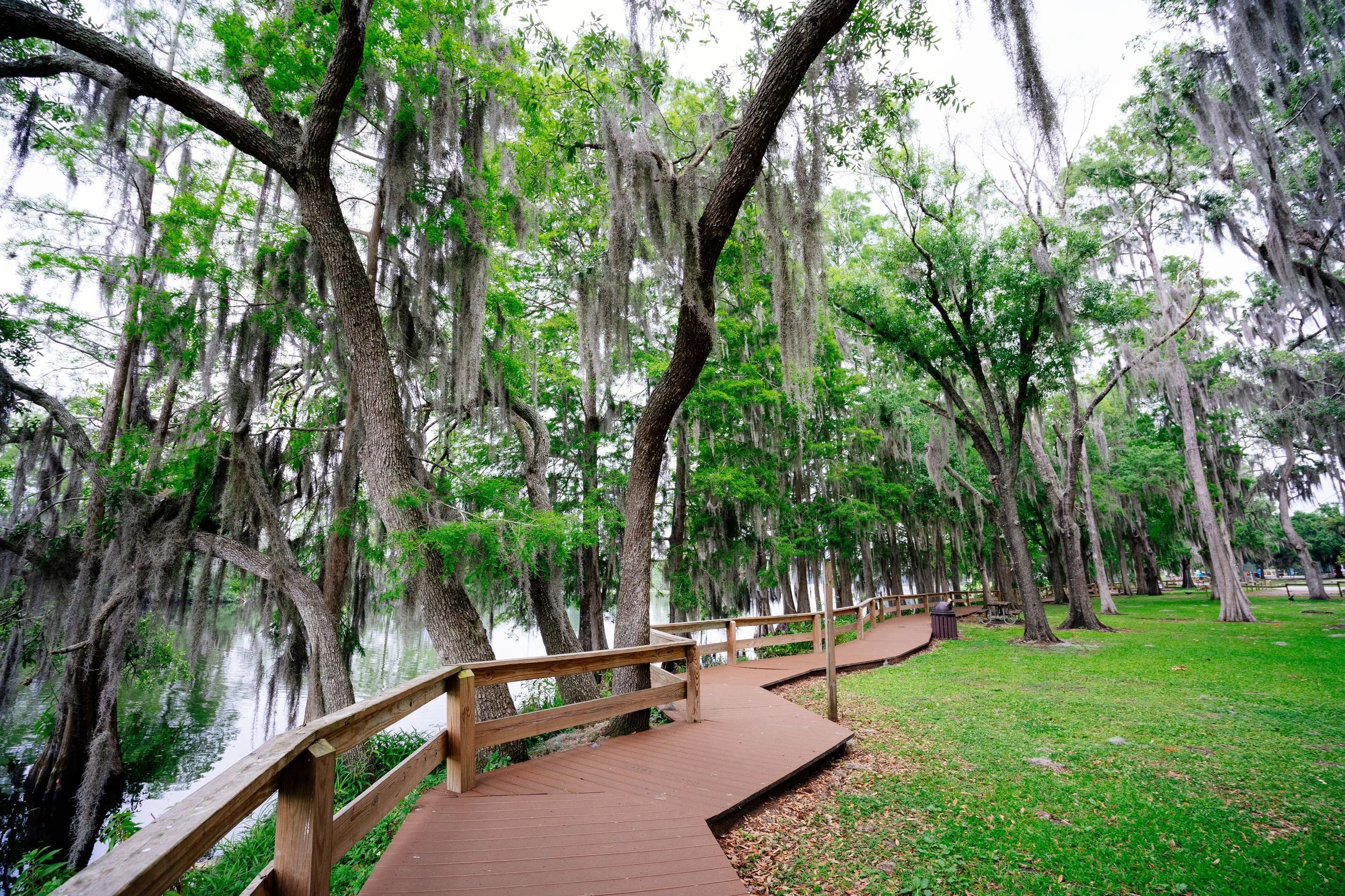 seffner fl