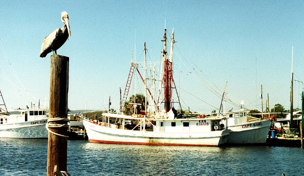 Tarpon Springs Dock