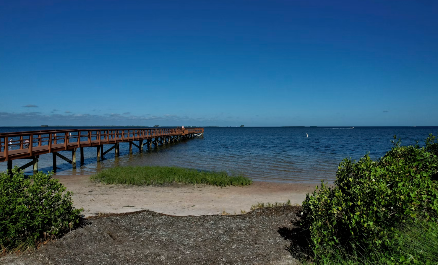 Pinellas Dock