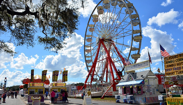 Manatee Fair
