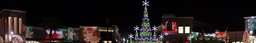Wiregrass Mall Night