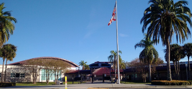 Palm Harbor Airport