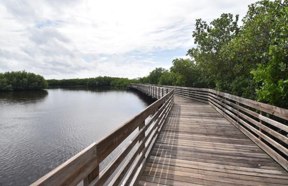 Citrus Park Trail