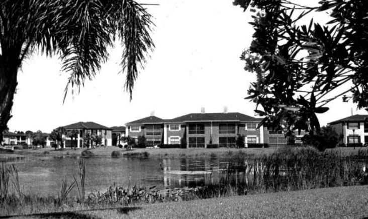 Carrollwood Neighborhood