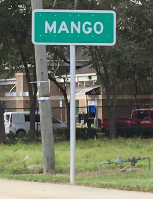 Mango Sign