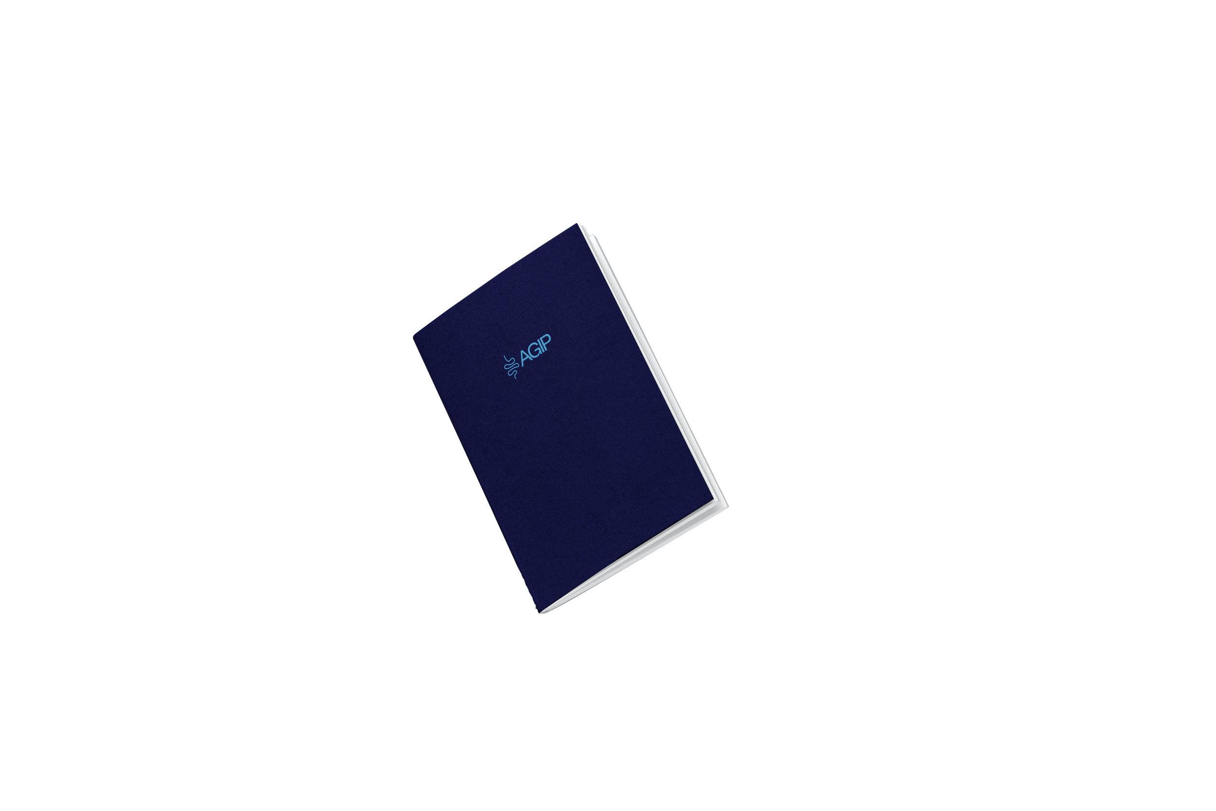 Free Mini A5 Notebook Mockup.png