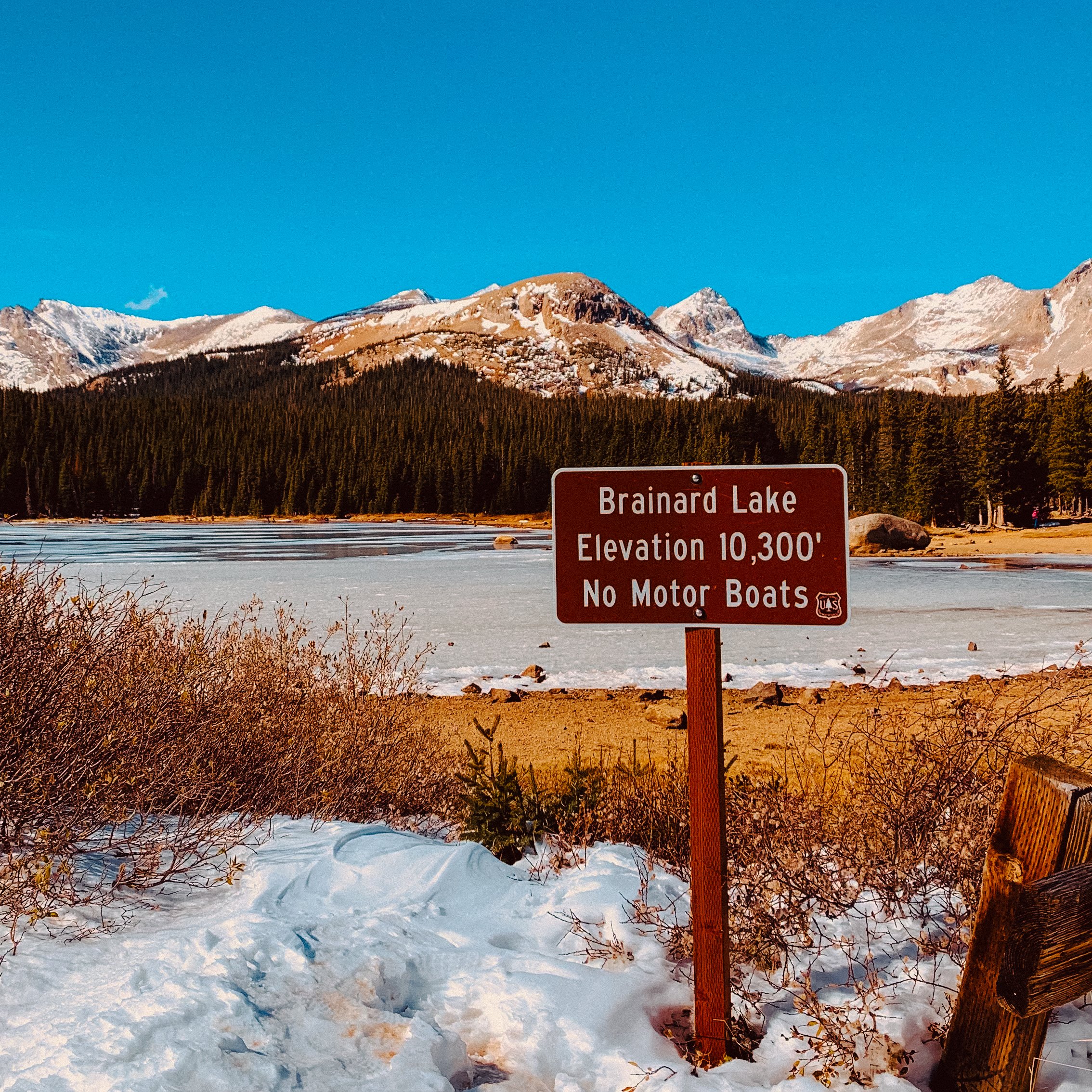 Five and Dime-02.jpg