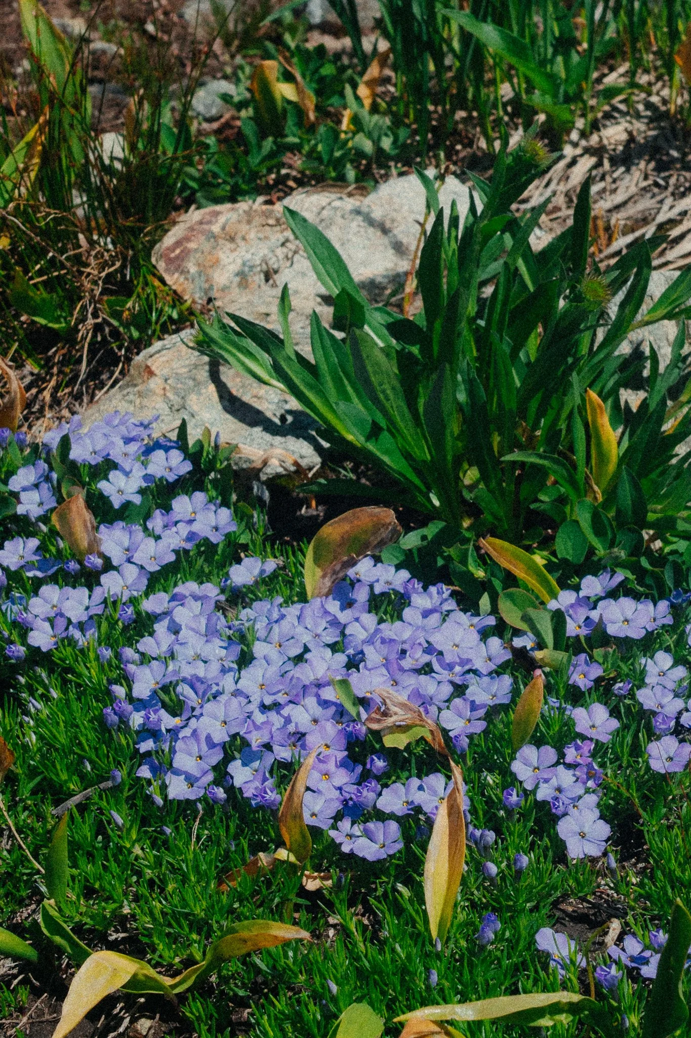R0000587.jpg