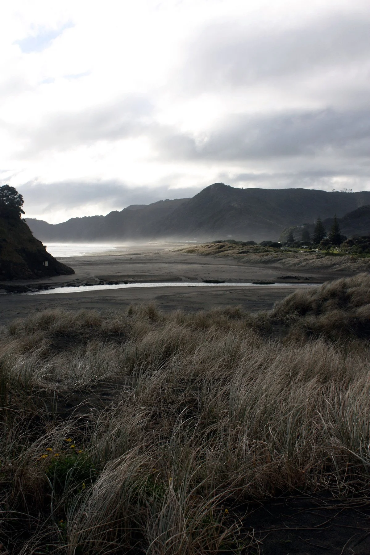 piha24.jpg