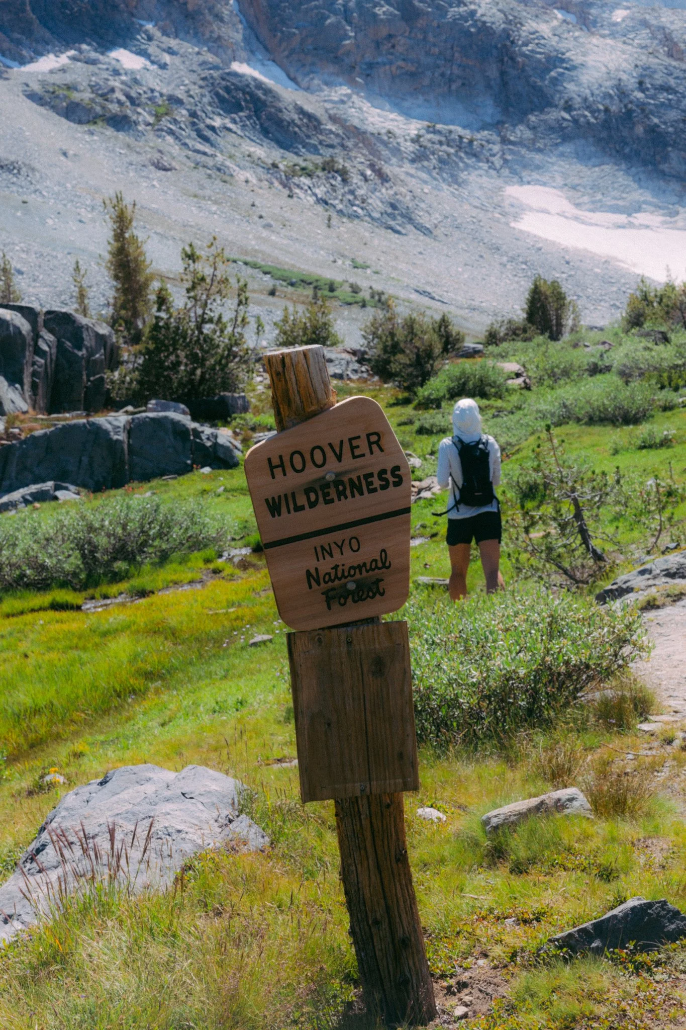 July24_Sierra Summer-06.jpg