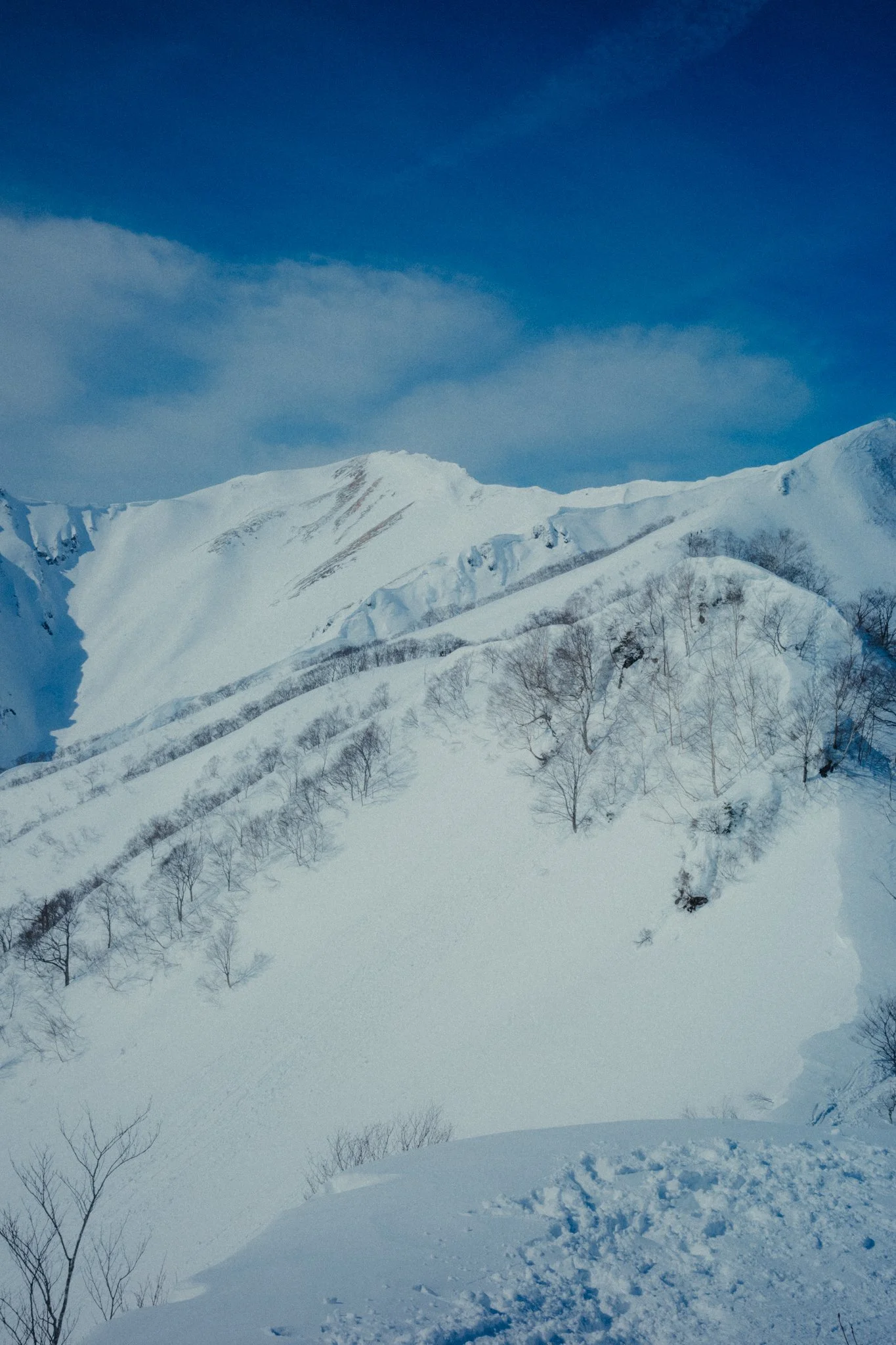 20260216_XA_JAPOW-131.jpg