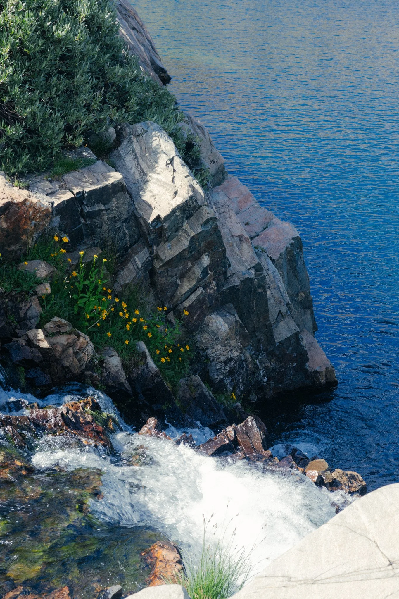 July24_Sierra Summer-15.jpg