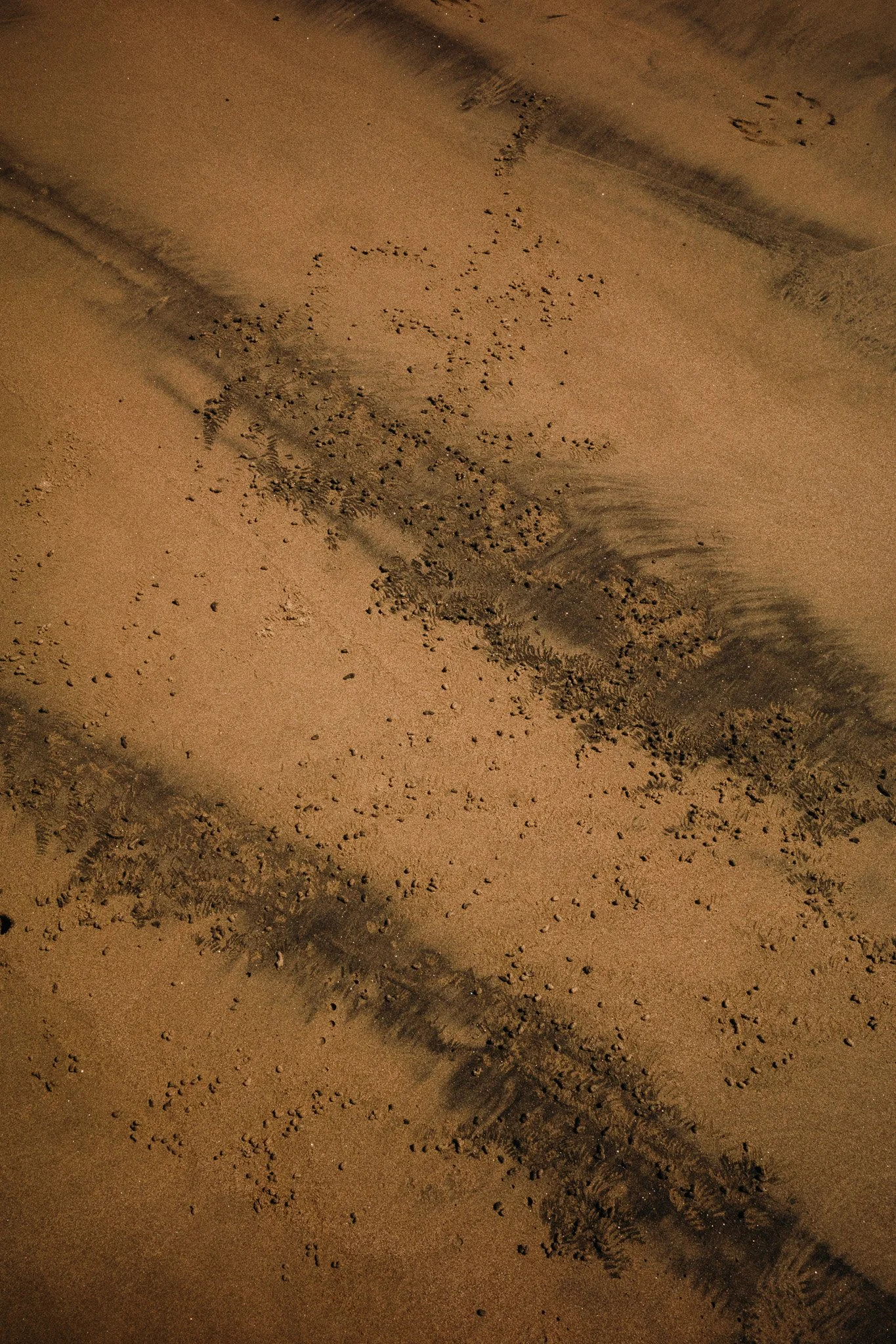 R0002071.jpg