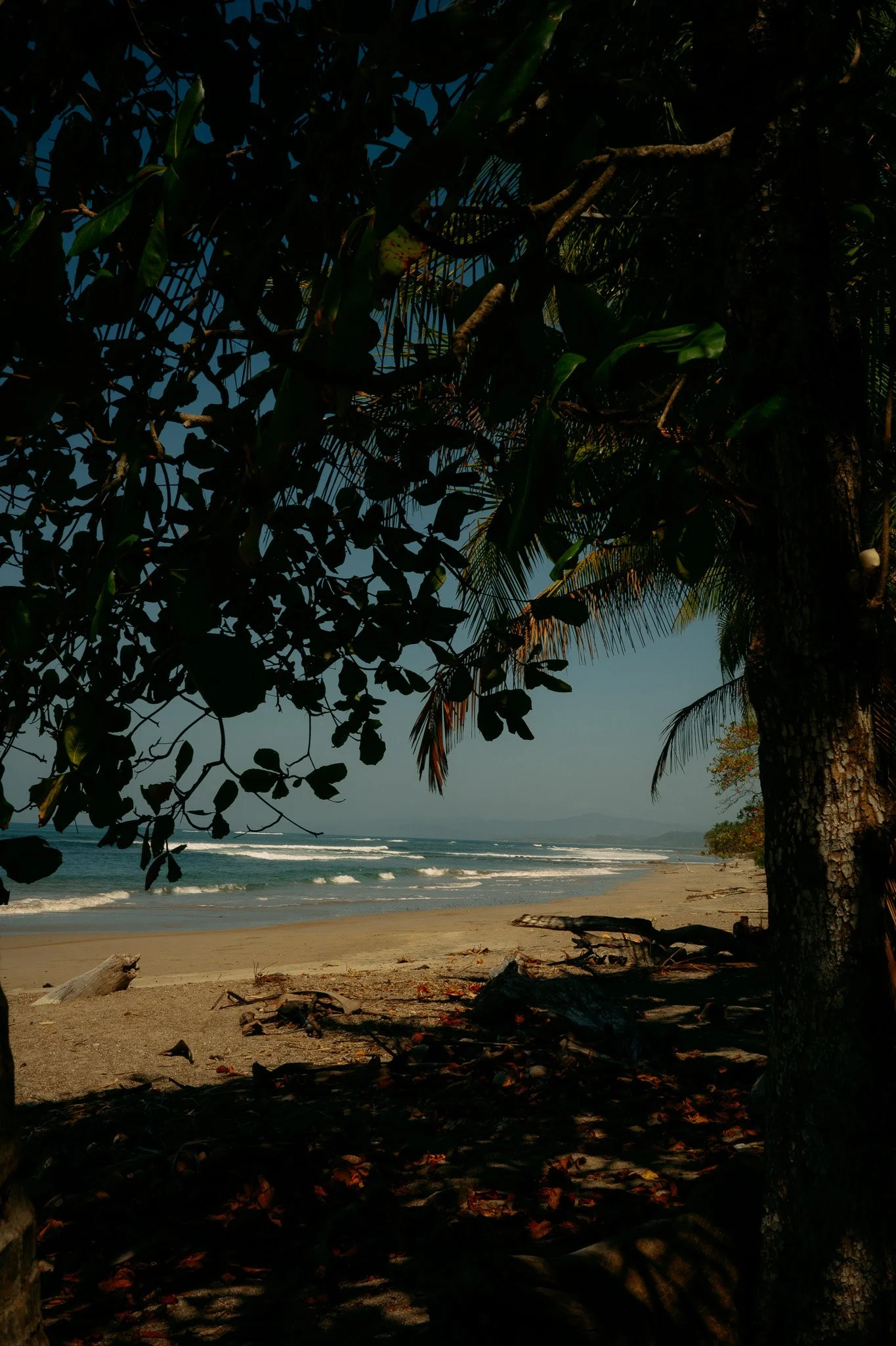 R0002080.jpg