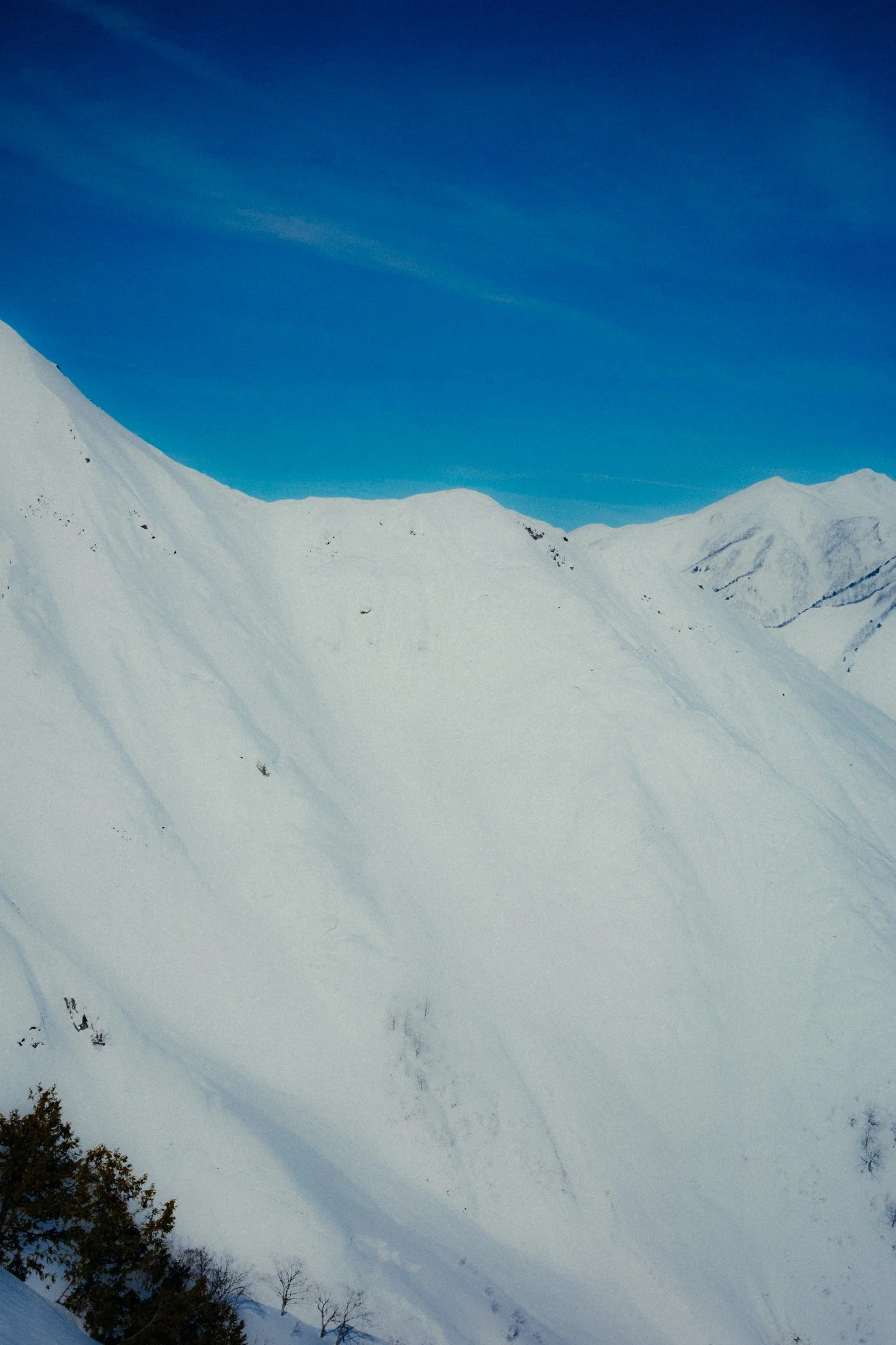 20260216_XA_JAPOW-130.jpg