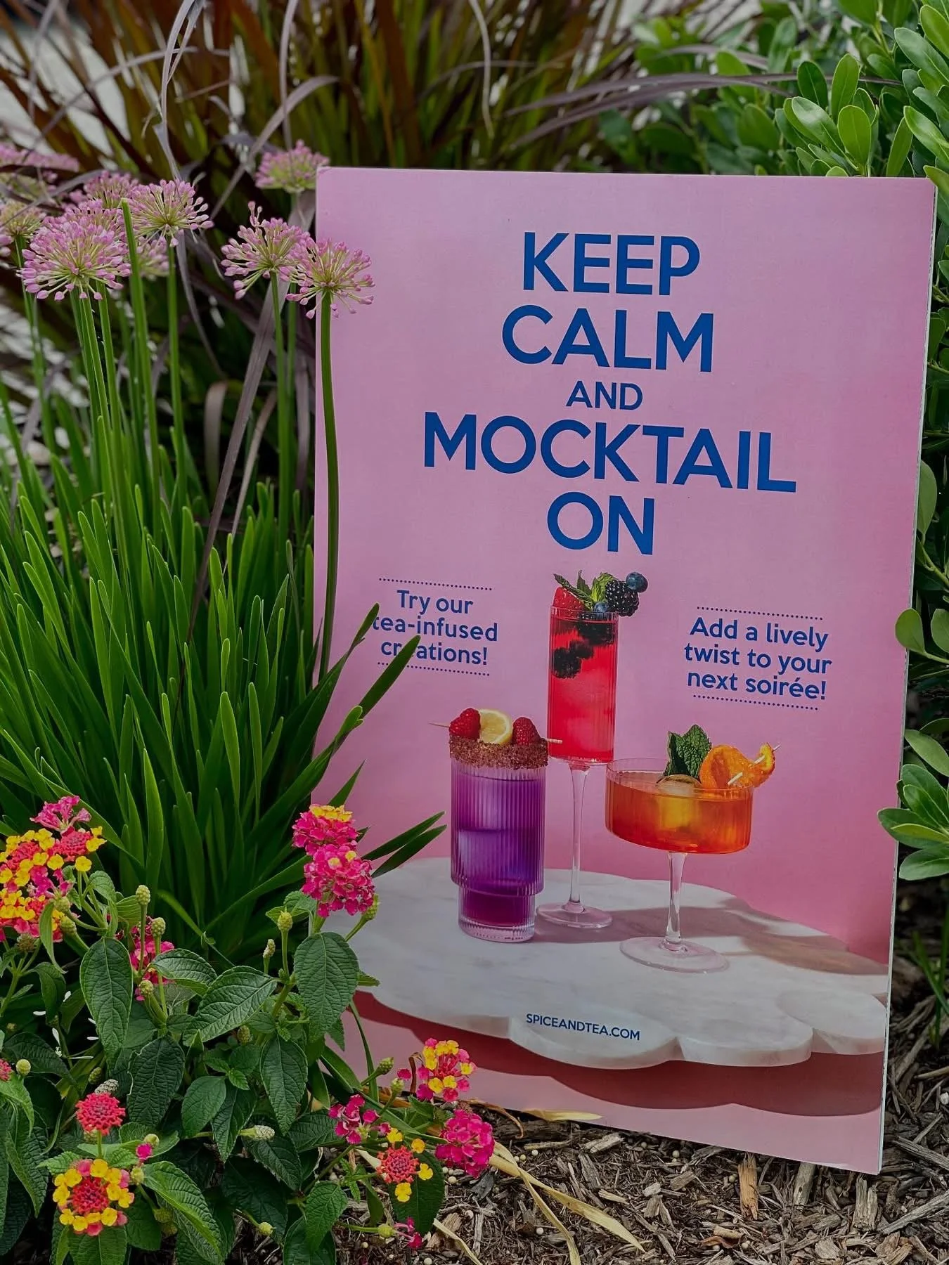 Cocktails and Mocktails Mixology 101