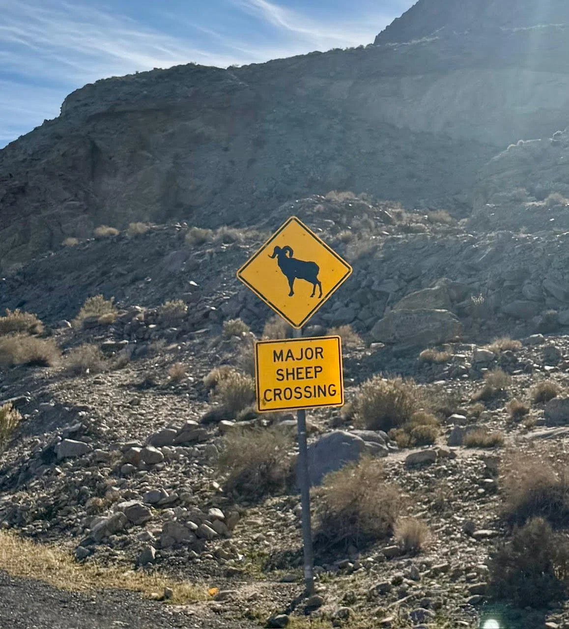 Yellow sign with a bighorn sheep on it advising people to watch out on highway