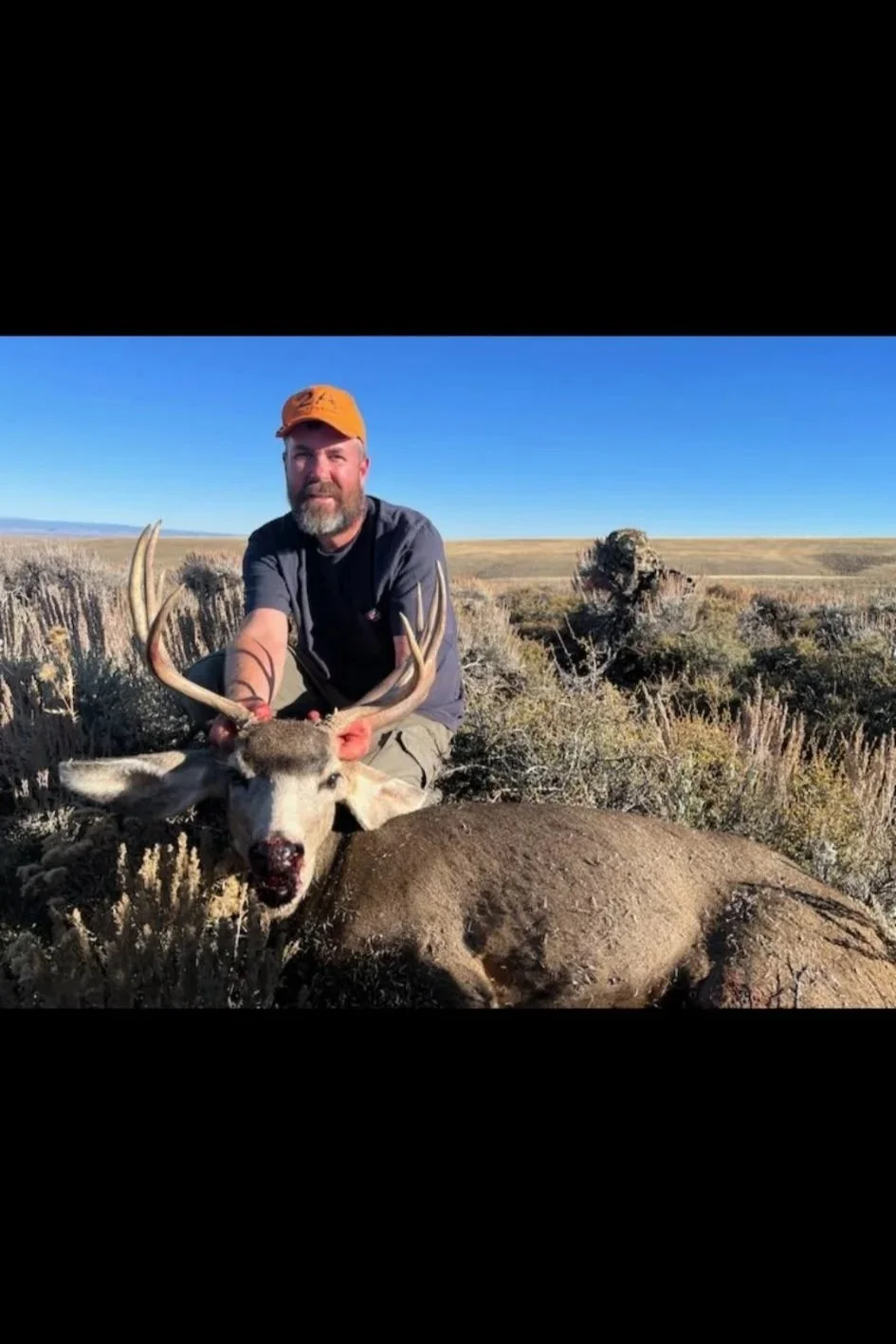 A man with a beard wearing an orange cap and black shirt kneels behind a large buck with antlers in a field with dry bushes and a clear blue sky.