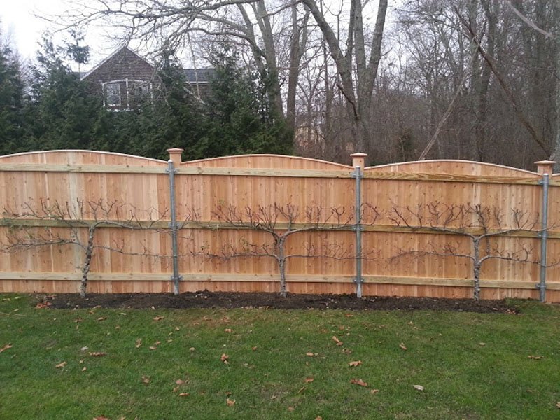 wood40.jpg