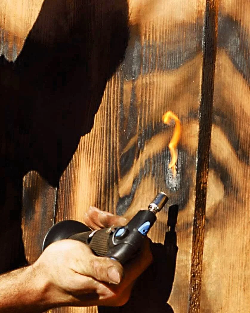 Zachary Aronson Pyrography 3.JPG