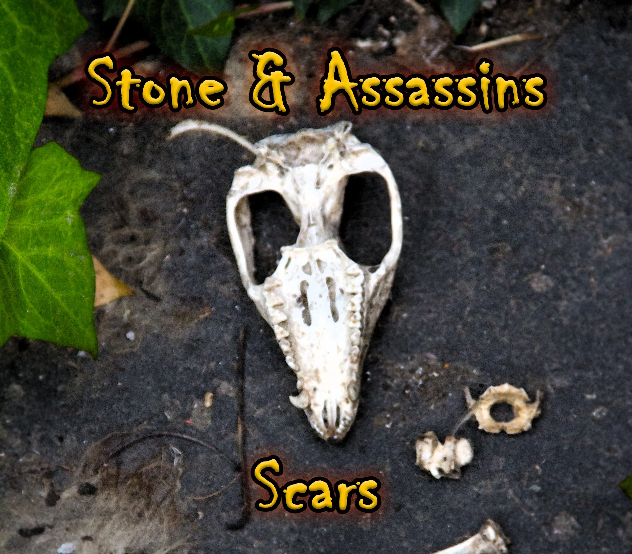 SCARS