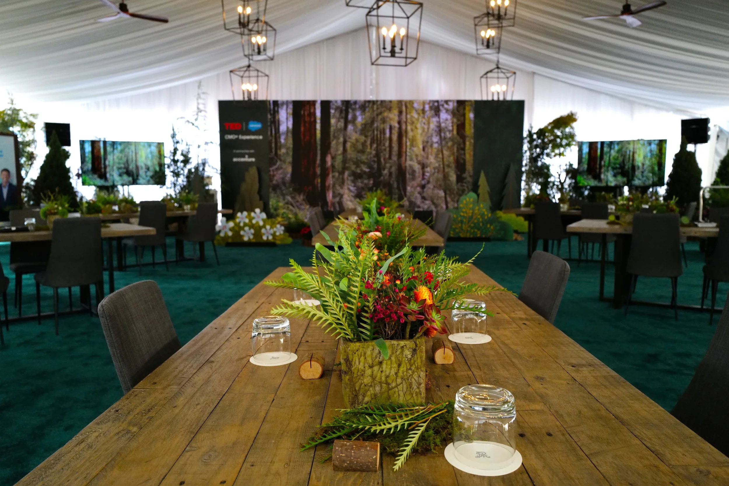 - CMO - L1000656.JPG