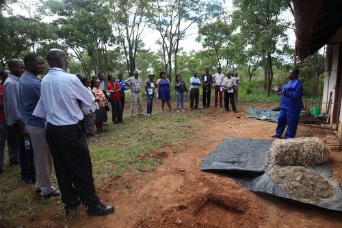 Solar Dryer for ZimConserve Mushroom Farm 09.jpg