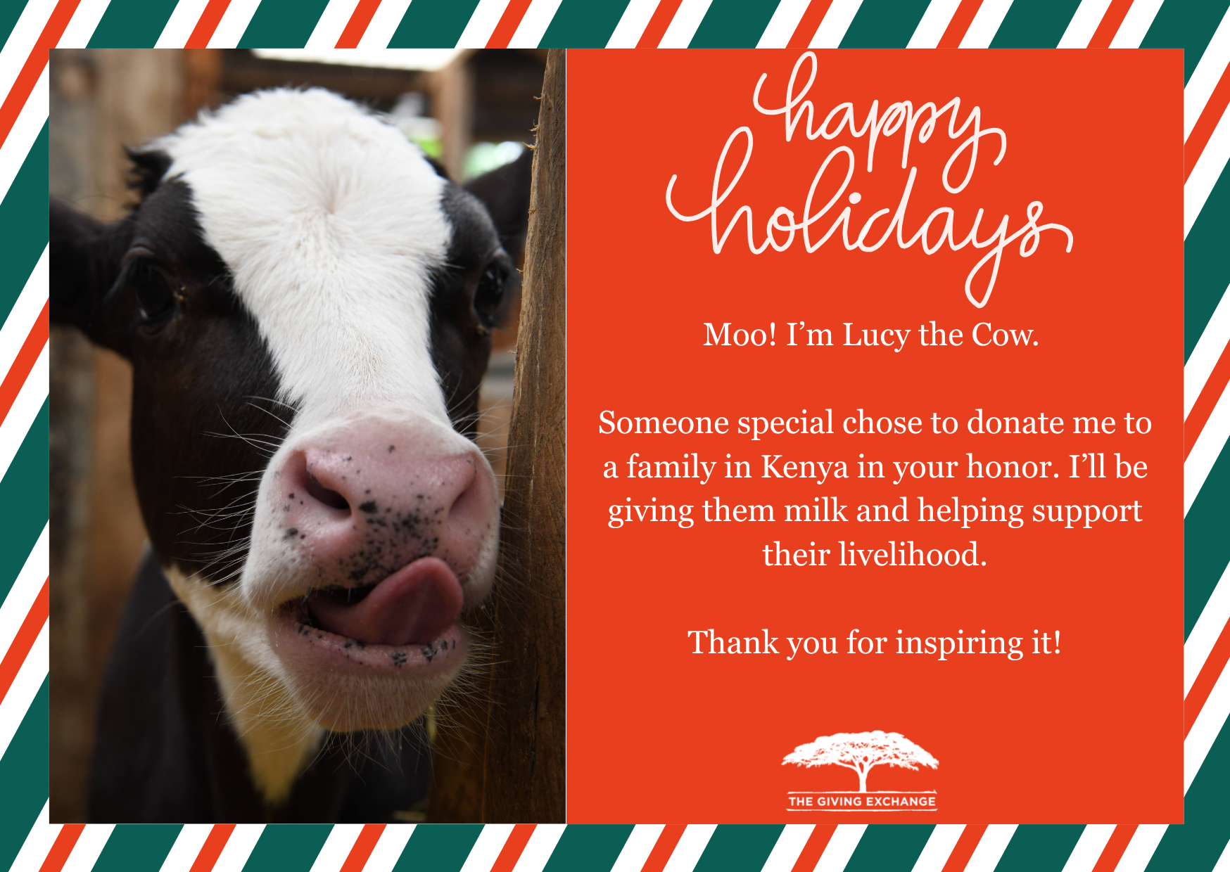 Holiday Campaign 2025 (19).png
