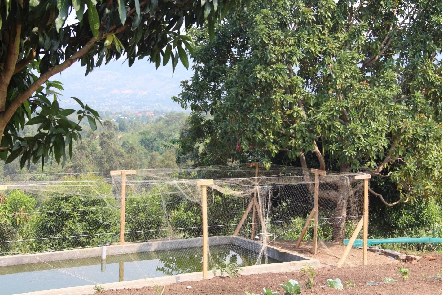 Bsfl Ramp Project Launch: (3) Family Farms Using BSFL for Animal Feed Production ...
