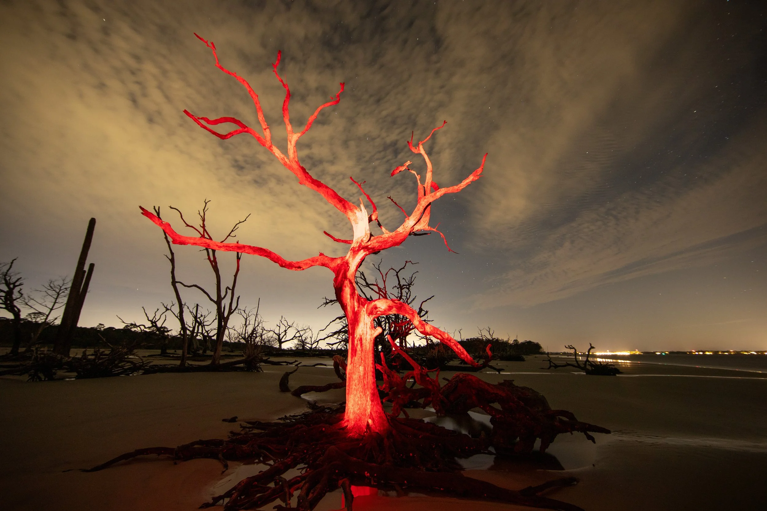 FireTreeMarketing-1.jpg