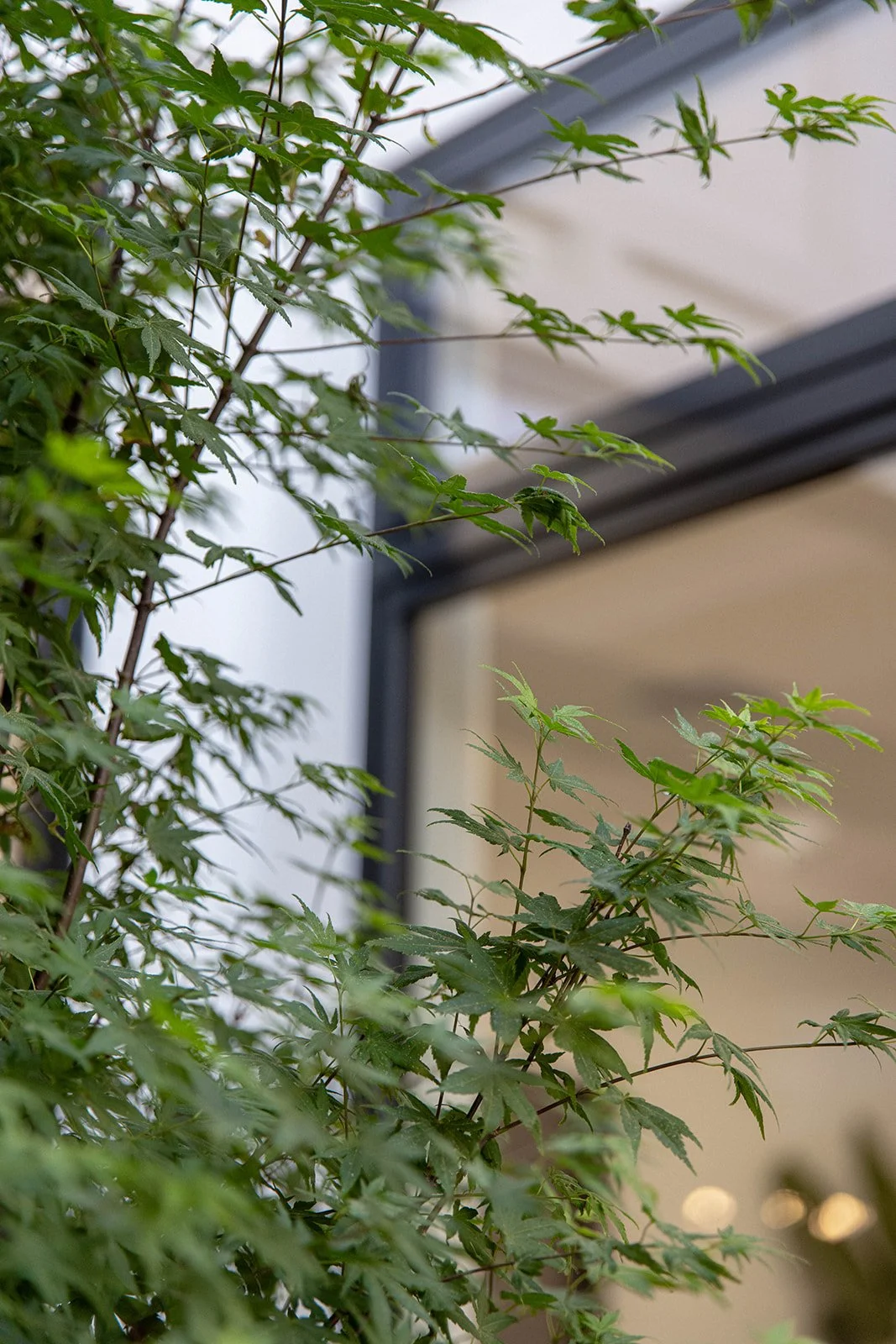 092A9733_websize (2).jpg