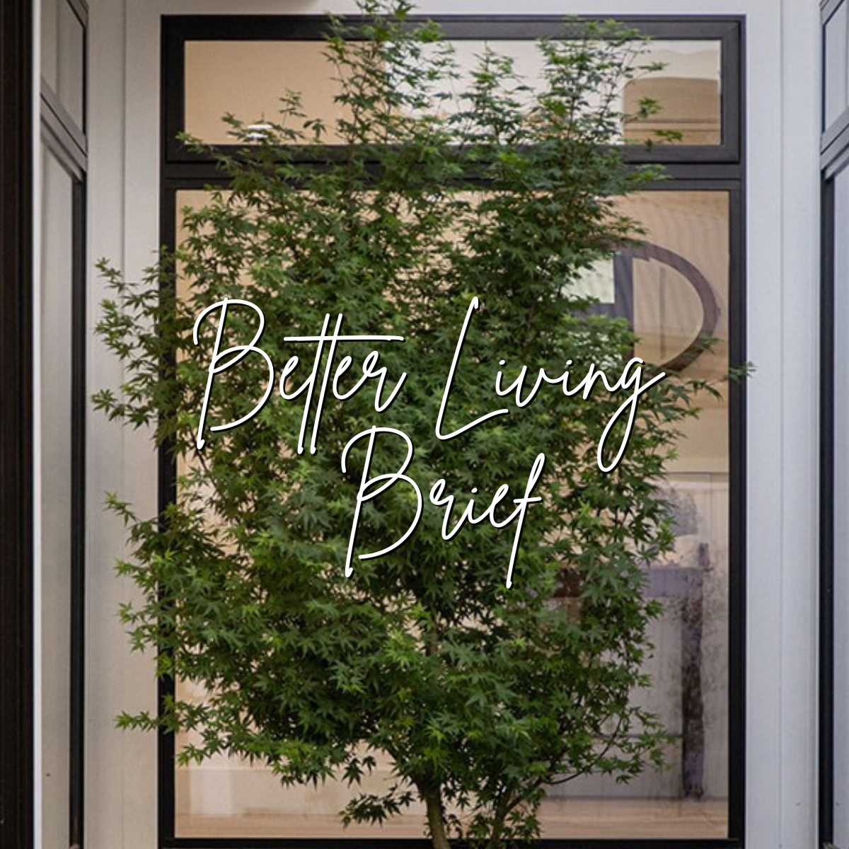 Build Better. Live Better.