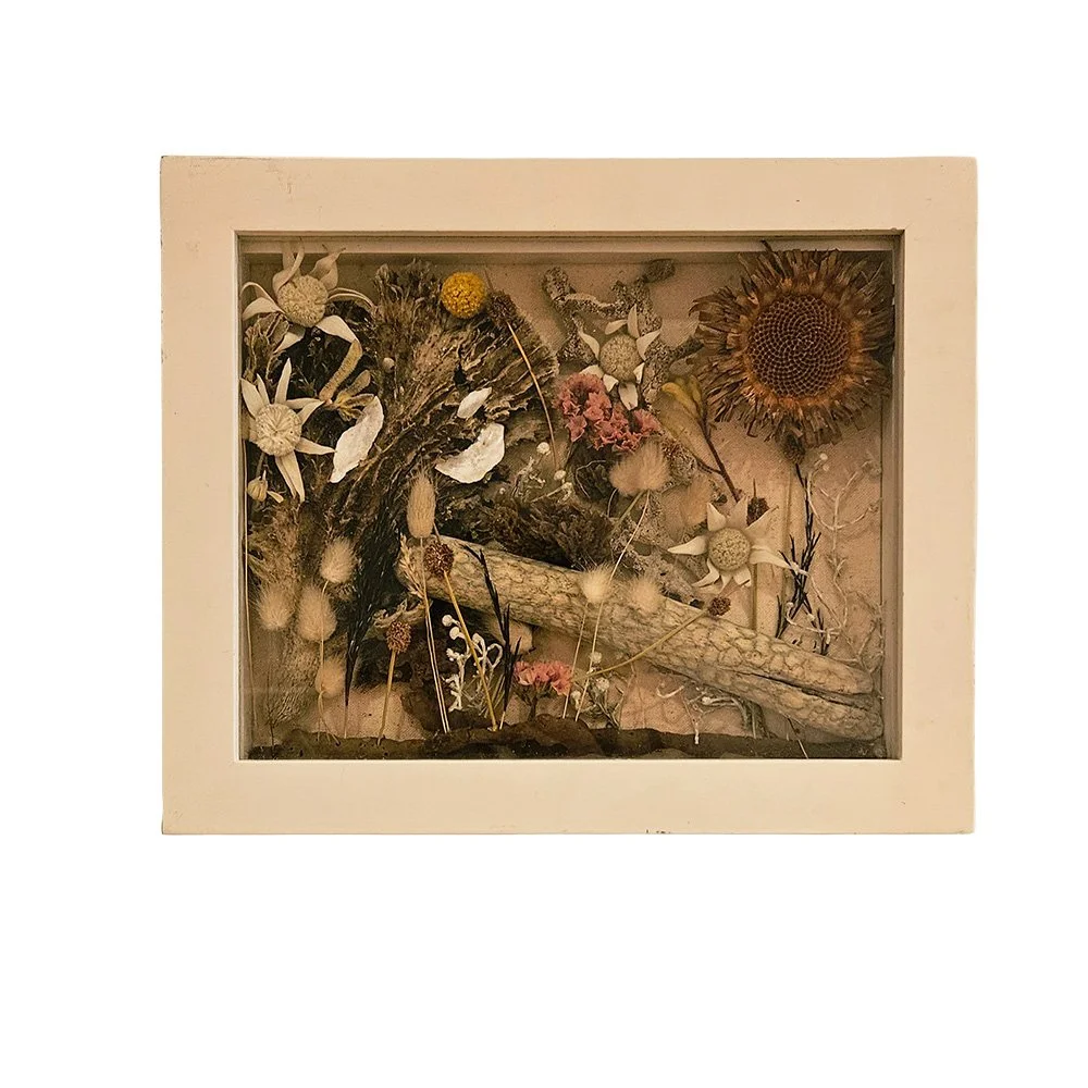 Motina Sol Webmockup.jpg