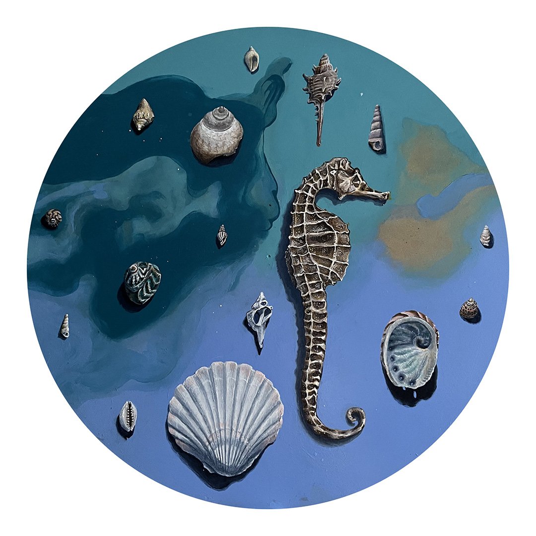 Seahorse and Shells web mockup.jpg