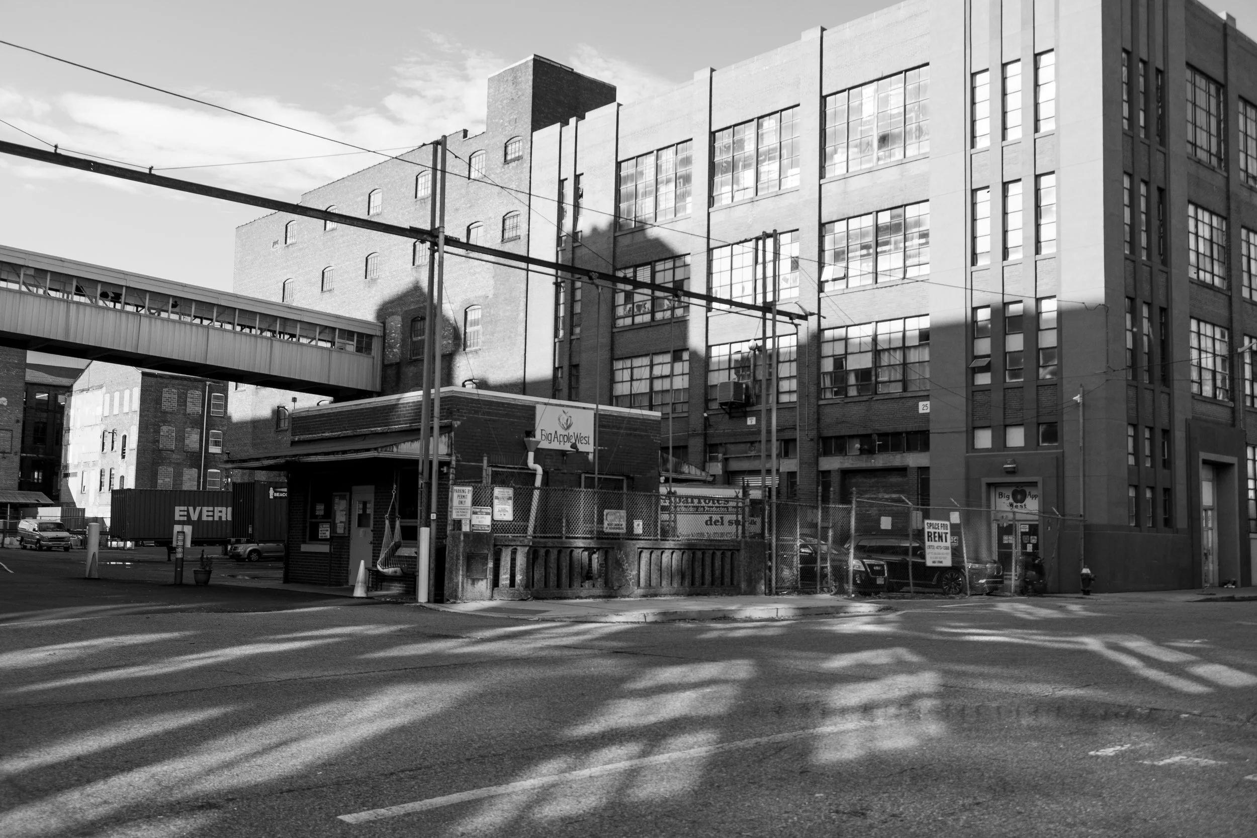 passaic (3 of 4).JPEG