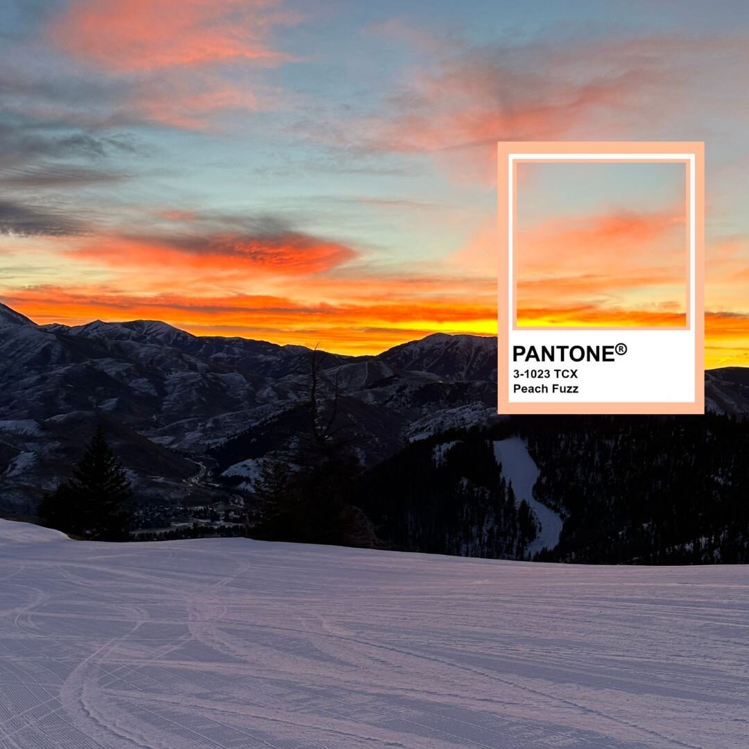 @Pantone's 2024 Color of the Year is growing on me. Wishing everyone a colorful new year!⁠
⁠
#pantone #colorful #earlymorningadventures #PeachFuzz