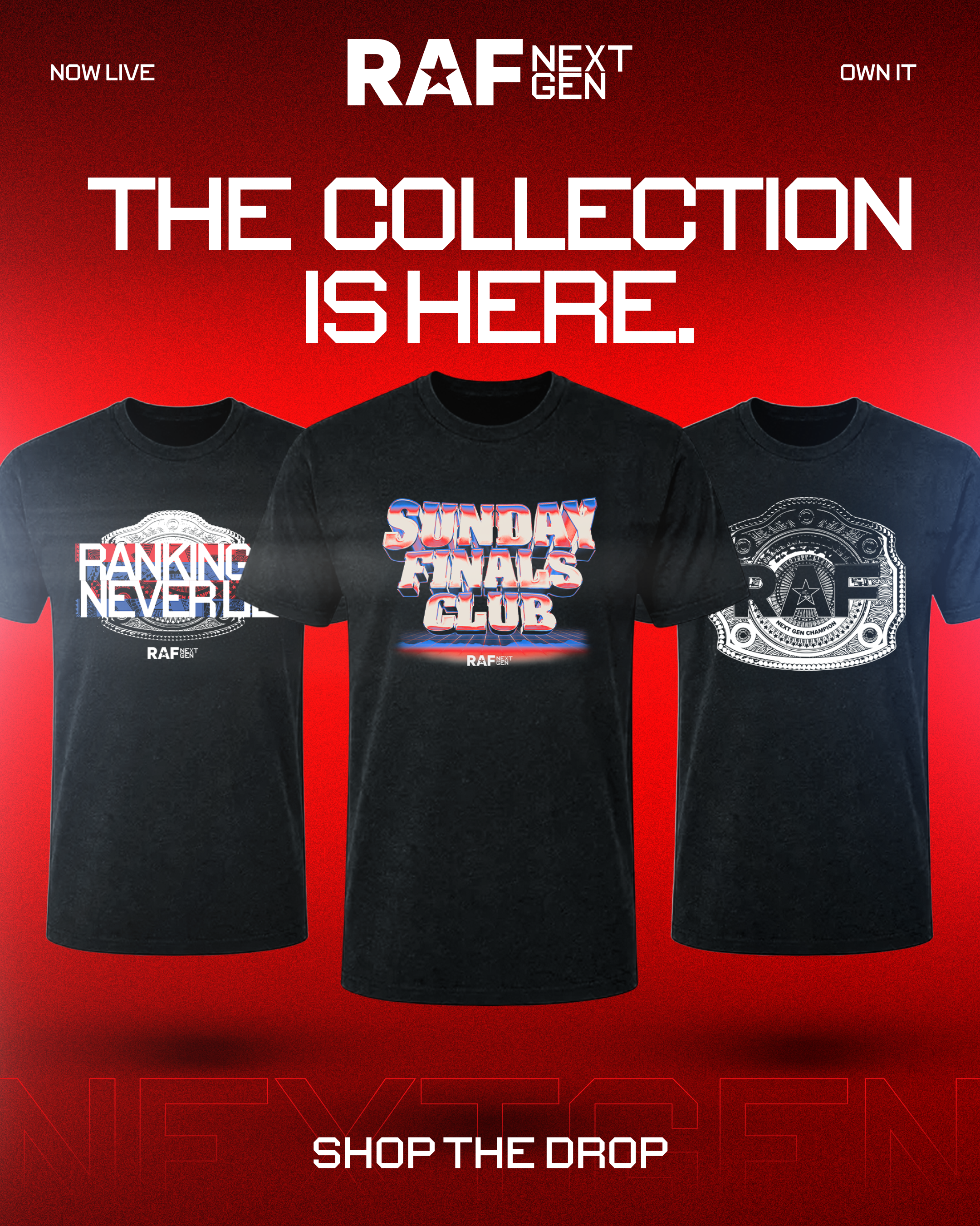 NG Merch Swipe-1.png