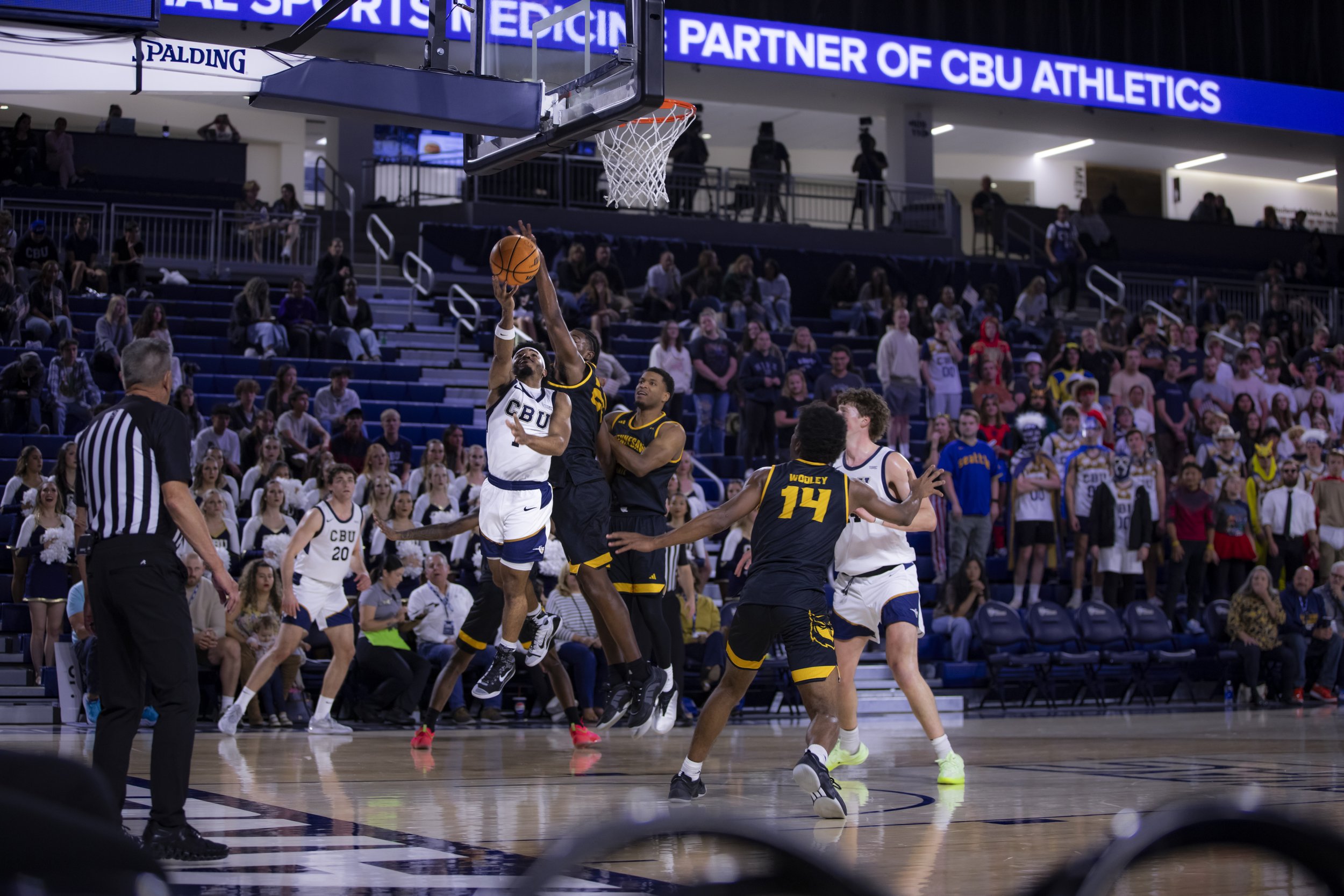 cbumbb_11-9-24--08.jpeg