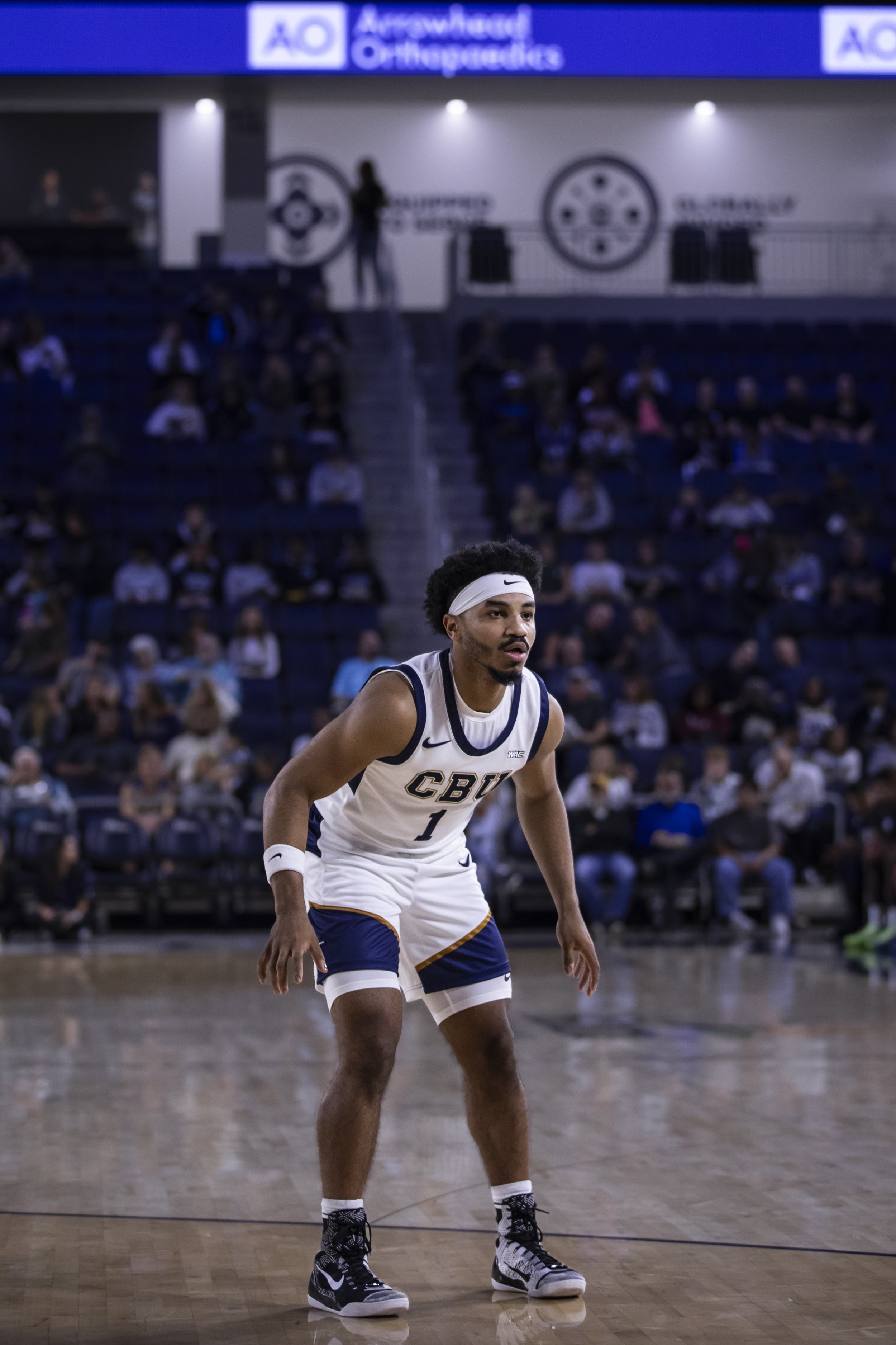 cbumbb_11-9-24--10.jpeg
