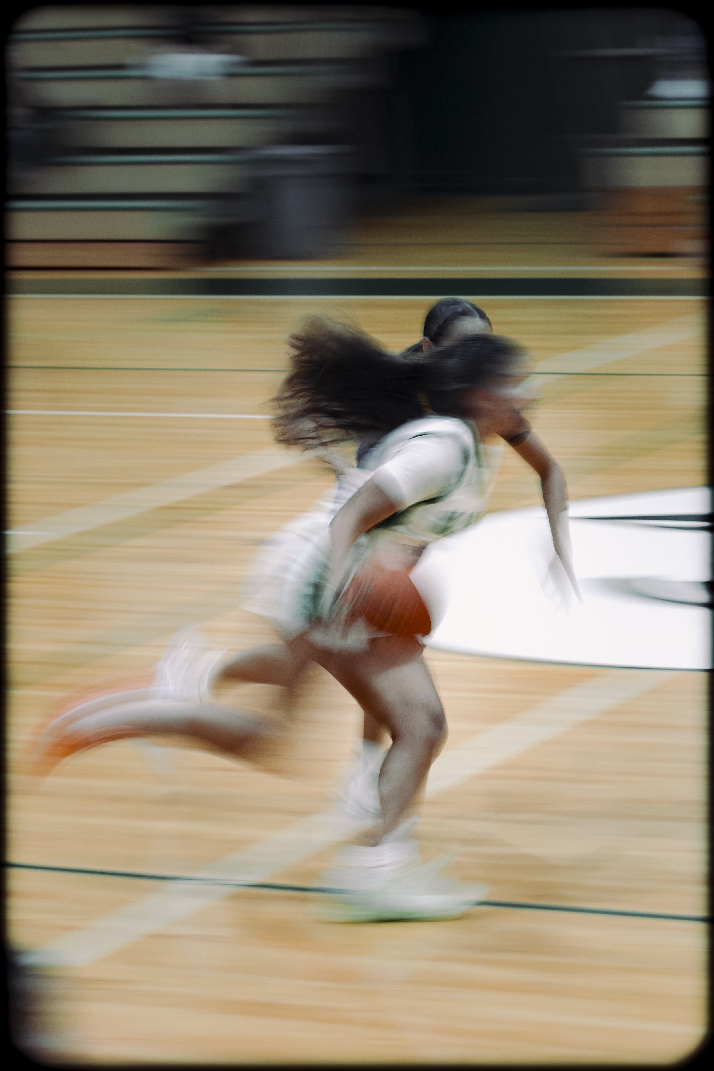 Kapaa-12_27_-17.jpeg
