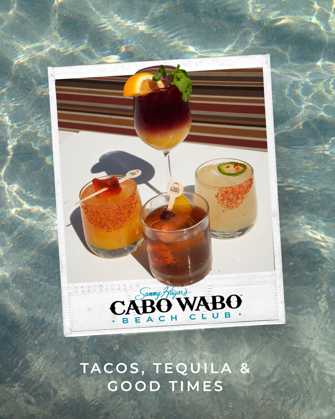 Cabo Wabo.png