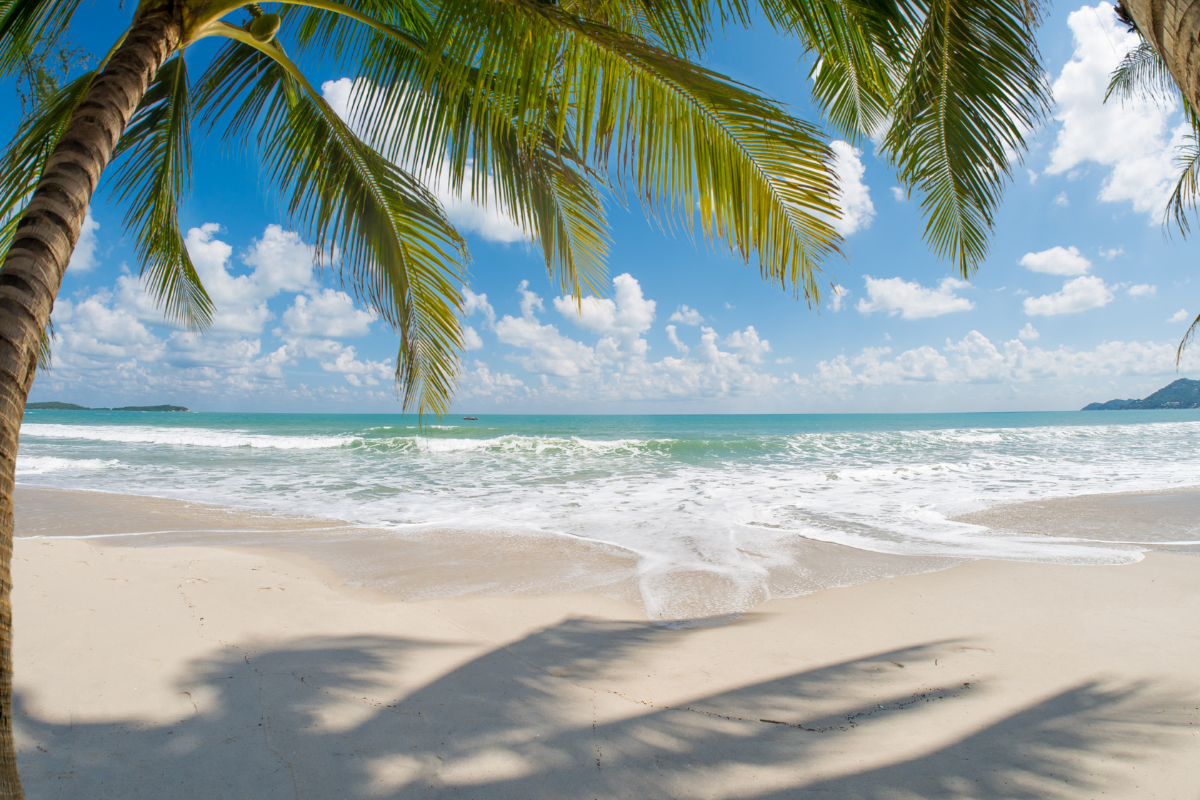 The Most Wonderful Time of the Year: Why the Holidays Feel Special in Florida