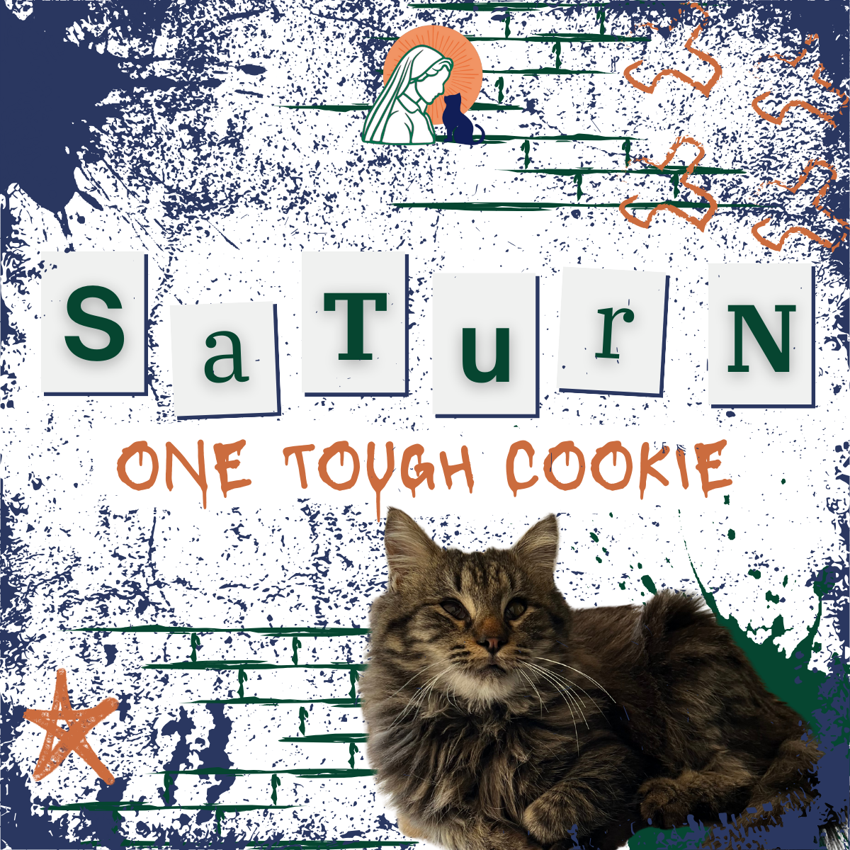 Saturn: One Tough Cookie