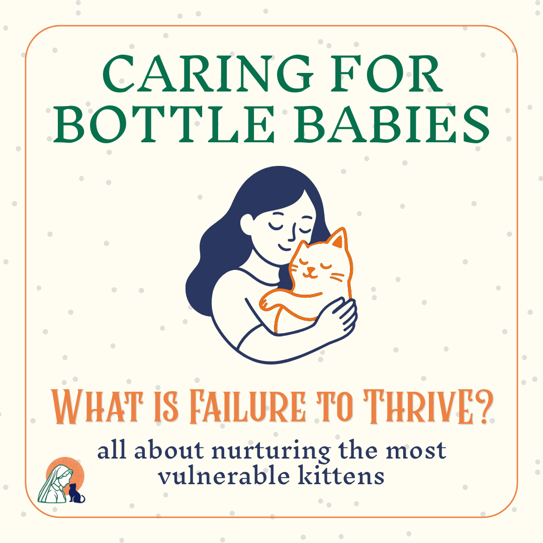 Caring for Bottle Babies: Failure to Thrive